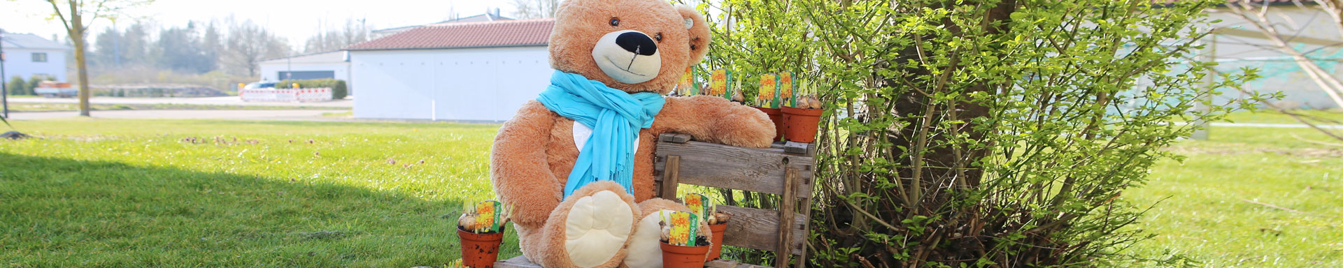 Osterblumenaktion-2020head