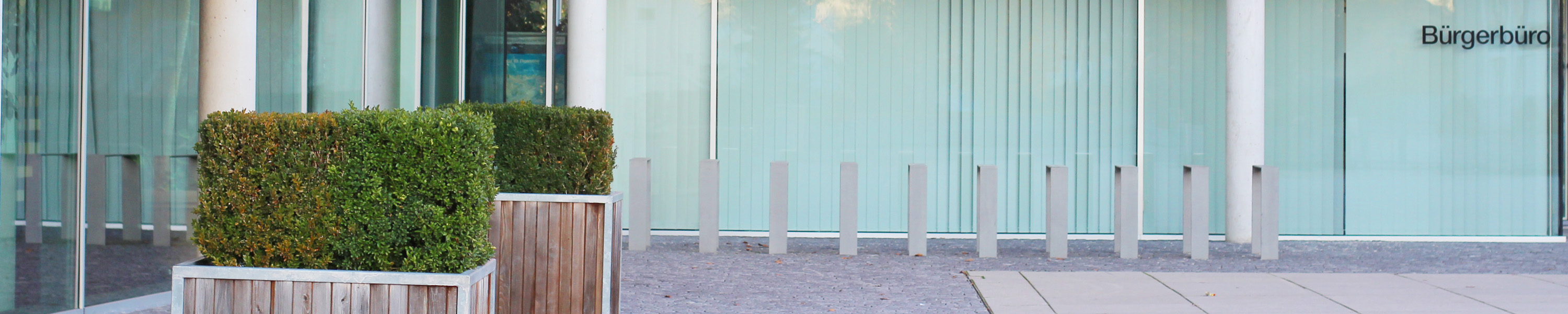 Gemeindehallbergmooshead